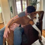 Joel Courtney Instagram - When you think you adopted a beagle but it turns out he’s probably a St. Bernard 😅🫢😲