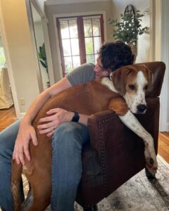 Joel Courtney Instagram - When you think you adopted a beagle but it turns out he’s probably a St. Bernard 😅🫢😲