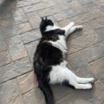 Joey Diaz Instagram - Living like a DR