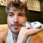 Joey Graceffa Instagram - what should i name them?! helped a kitty girl birth to 6 sweet angels this week! new video up on my channel 🥰