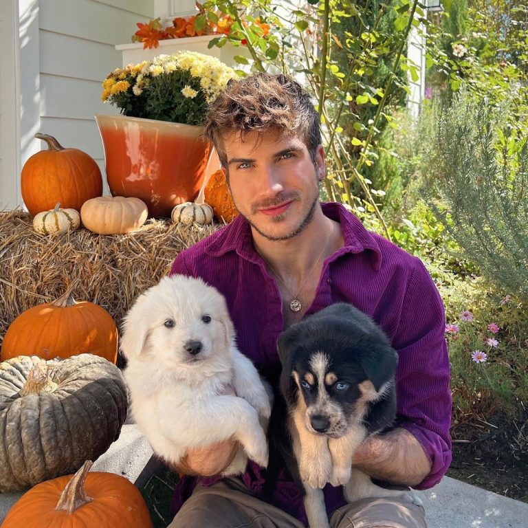 Joey Graceffa Instagram - 1 million likes and I’ll have to keep both of them 🐶🐶