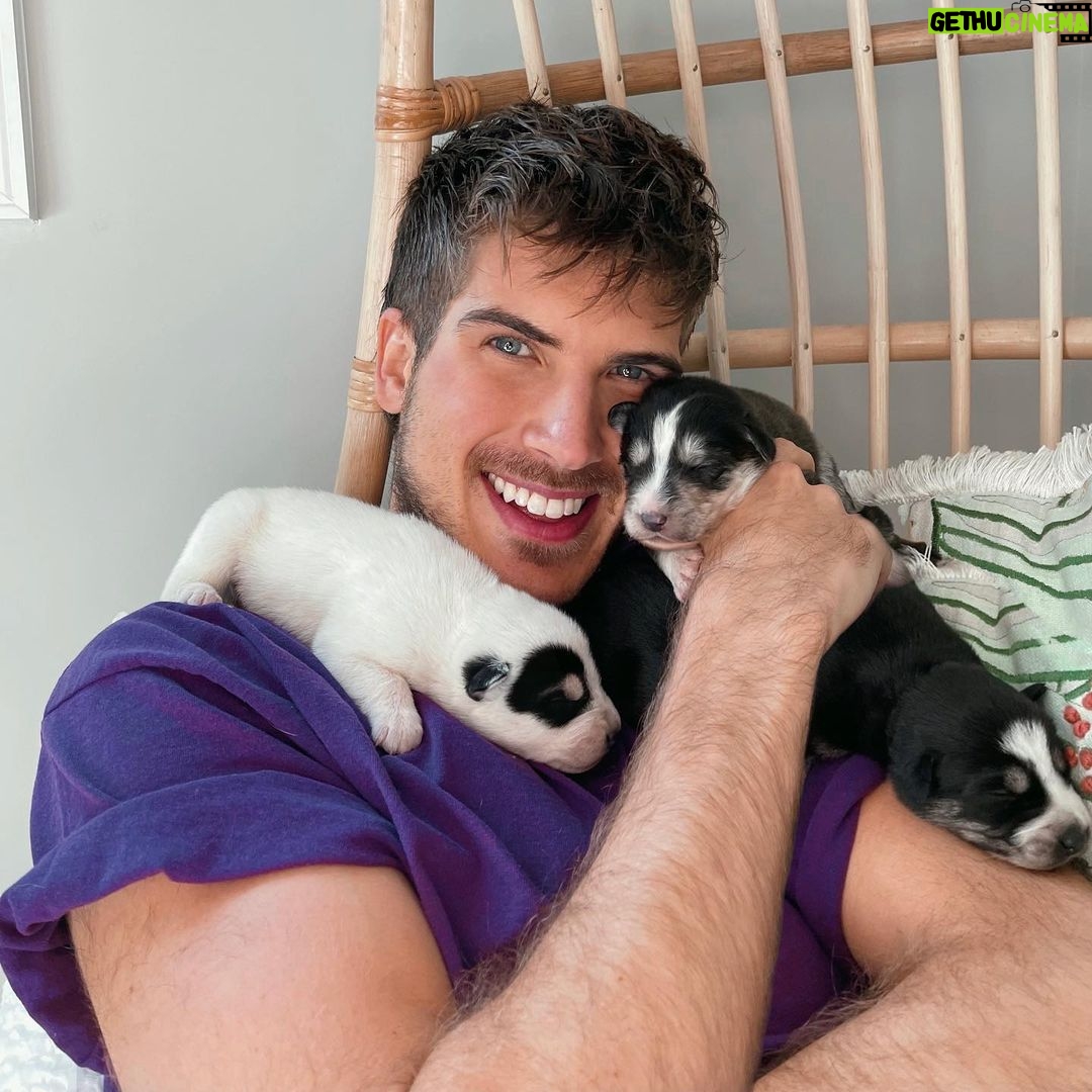 Joey Graceffa Instagram - Remember 101 Dalmatians? This is them now… husky edition