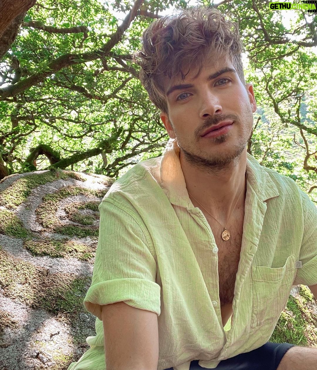 Joey Graceffa Instagram - 📢 attention all princes i will be laying here pretending to be asleep & waiting for kisses until further notice!!!! Wistman's Wood