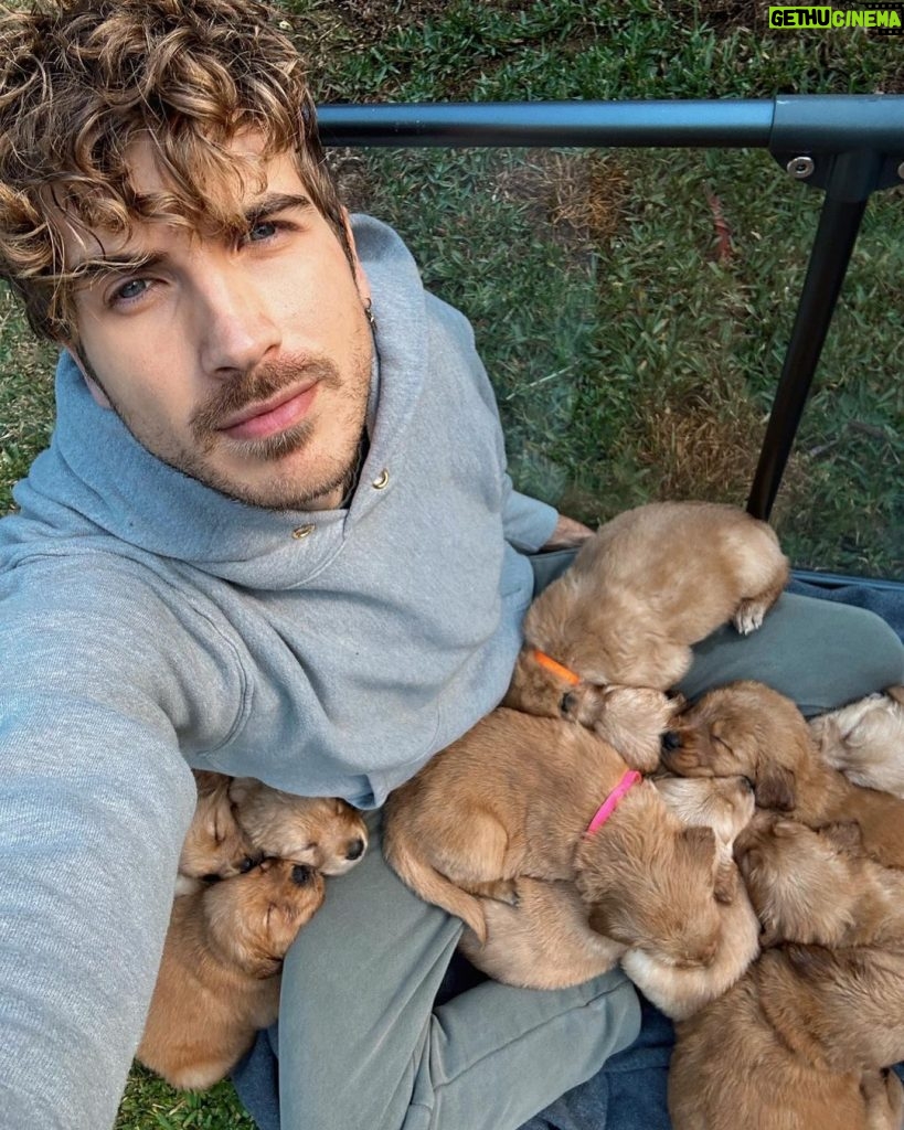 Joey Graceffa Instagram - puppy dump 🥰