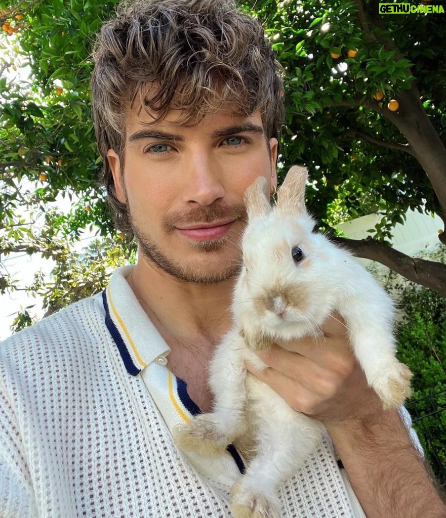 Joey Graceffa Instagram - Escape The Easter Bunny 🐰