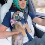 Joey Graceffa Instagram - omw to rescue more puppies 😎🚘