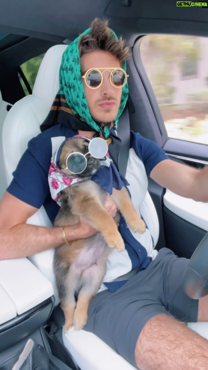Joey Graceffa Instagram - omw to rescue more puppies 😎🚘