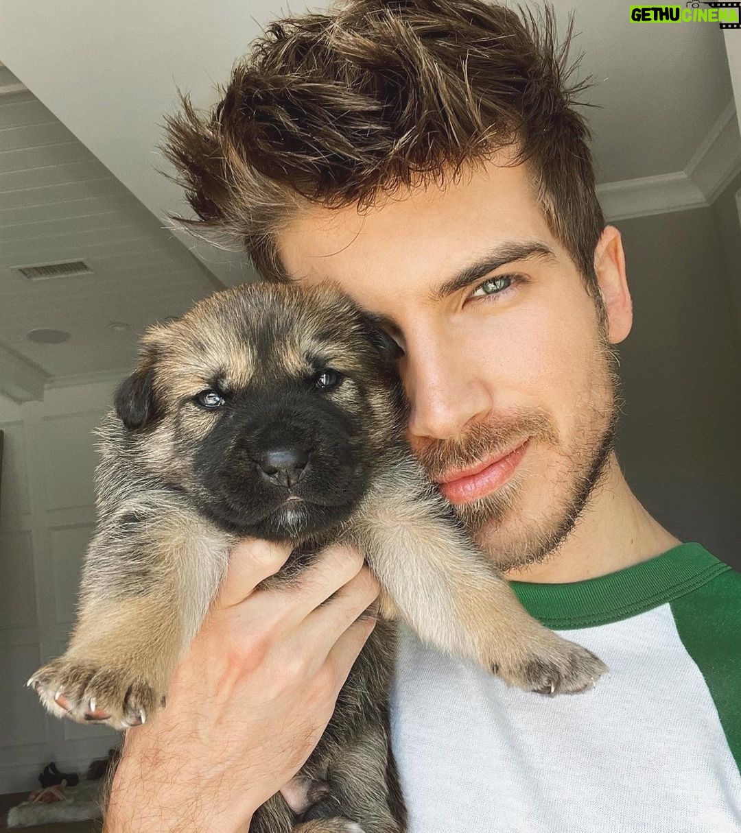 Joey Graceffa Instagram - Name something cuter than this lil guy