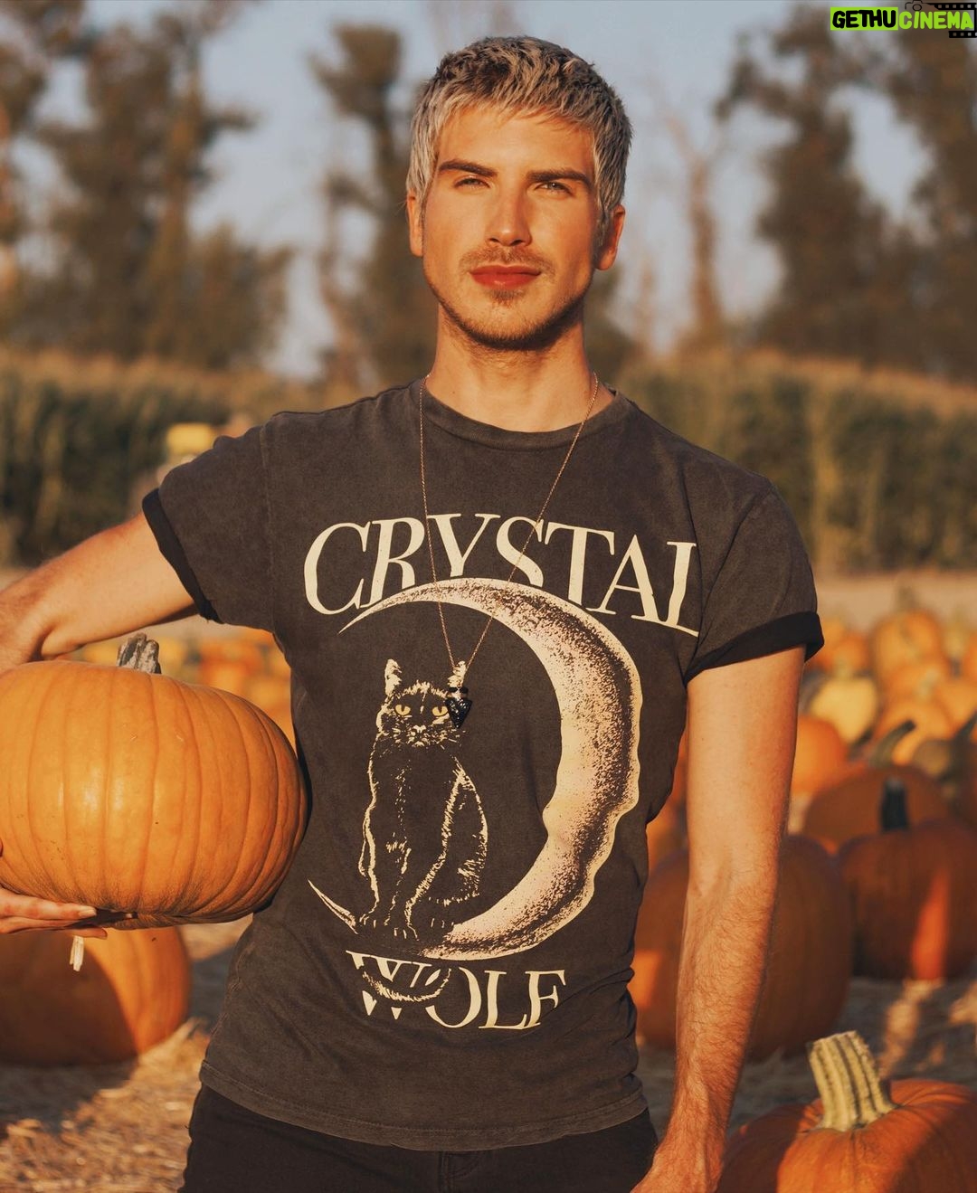 Joey Graceffa Instagram - get in loser we’re going hexing. 🧙🔮 trick or treat yourself to the witchy new @crystalwolf collection before Sakura sues me 😳 link in bio!