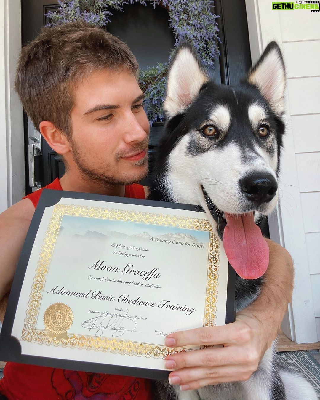 Joey Graceffa Instagram - my Moony turns 1 today and he graduated puppy school π₯³π now itβs time for him to get a job ππ