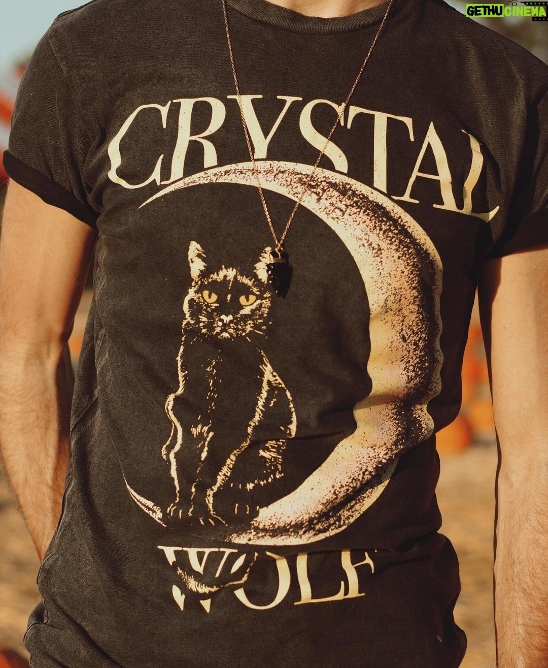 Joey Graceffa Instagram - get in loser we’re going hexing. 🧙🔮 trick or treat yourself to the witchy new @crystalwolf collection before Sakura sues me 😳 link in bio!