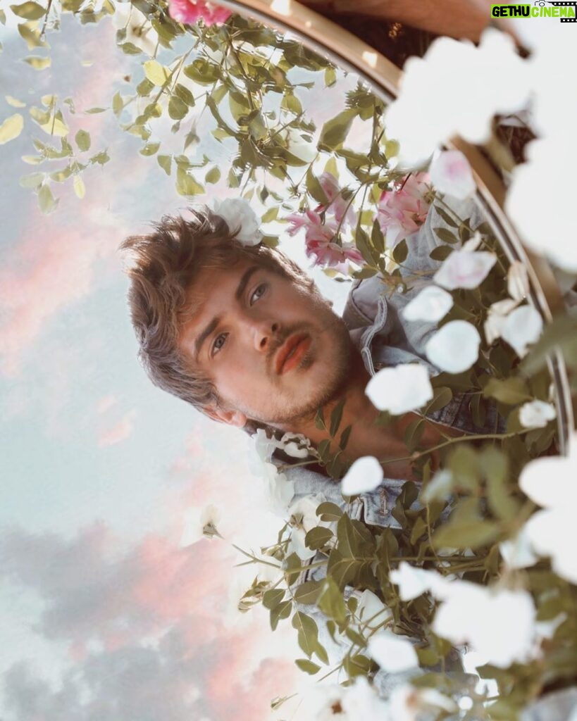 Joey Graceffa Instagram - I hope parallel universe me is having a good day 😌🌸