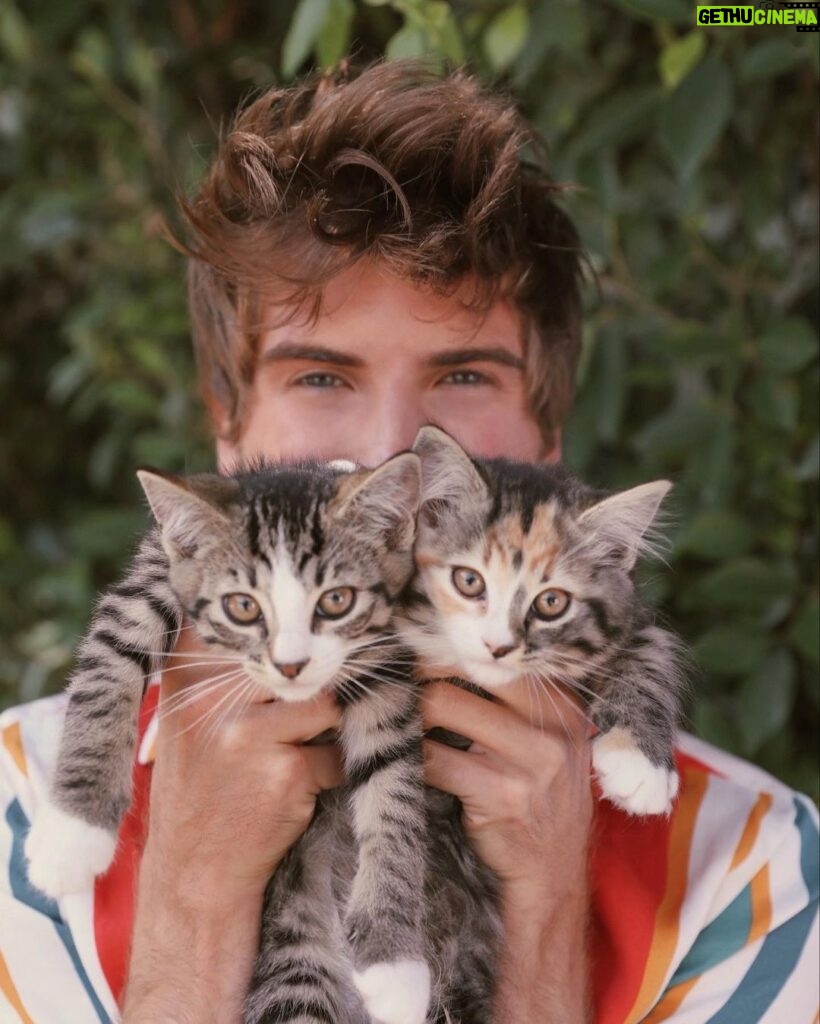 Joey Graceffa Instagram - i’m not kitten when I say these guys grew up way too fast 🥺🥺 swipe 👉🏻 to see how smol they were