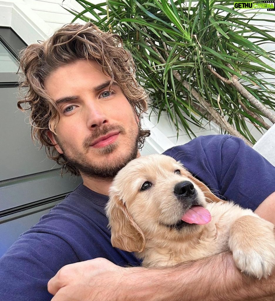 Joey Graceffa Instagram - i’ve fostered well over 100 dogs at this point and i try my best to not get too attached… but this foster boy is gonna be a hard one saying bye to. 🥺