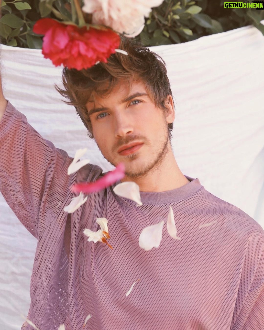 Joey Graceffa Instagram - roses are red ๐น violets are pretty ๐ feelin like 2020 punched me in the titty ๐คจ