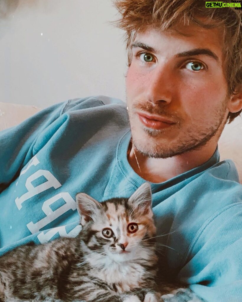 Joey Graceffa Instagram - what’s cuter than kittens?? ending systemic racism ✊ the black square was cute, but we all have more work to do 💯 link in bio for petitions that *still* need signatures.