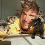 Joey Graceffa Instagram - I think I win for the cutest quarantine buddies 😽 which kitten is your fave?