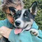 Joey Graceffa Instagram - already missing this handsome man, but so happy @shadowwthehusky officially made it to his forever home where he’ll have the happiest life possible ❤️ link in bio for the full video