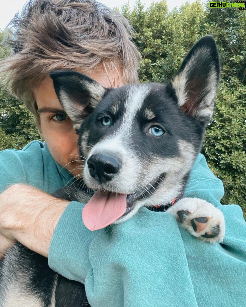 Joey Graceffa Instagram - already missing this handsome man, but so happy @shadowwthehusky officially made it to his forever home where he’ll have the happiest life possible ❤️ link in bio for the full video