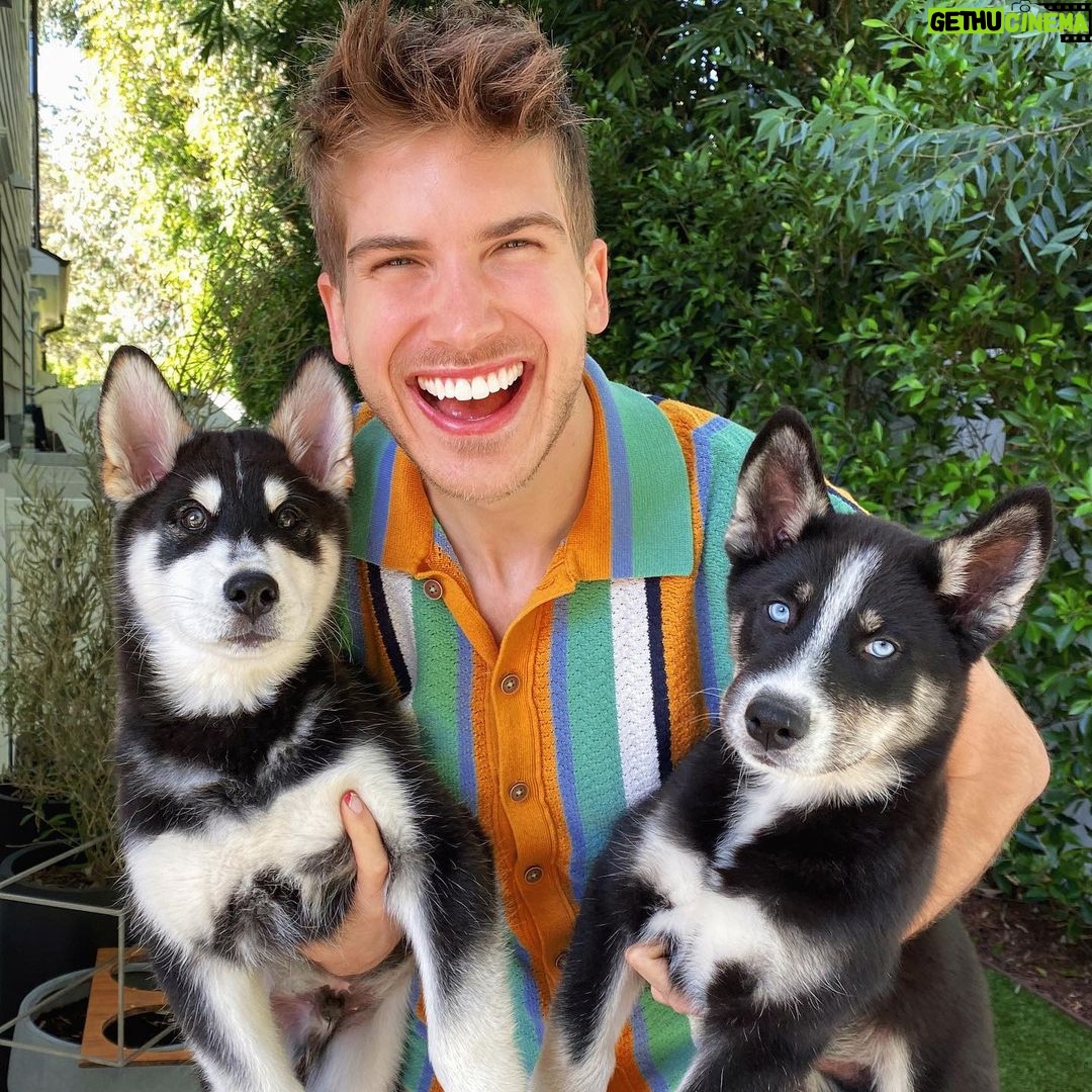 Joey Graceffa Instagram - Our @thehuskypac just keeps growing! Still can’t believe we’re keeping these two! Thus making us a family of 5 huskies, what should we name them?! 🤯🐺🐺🐺🐺🐺 new video, link in bio!