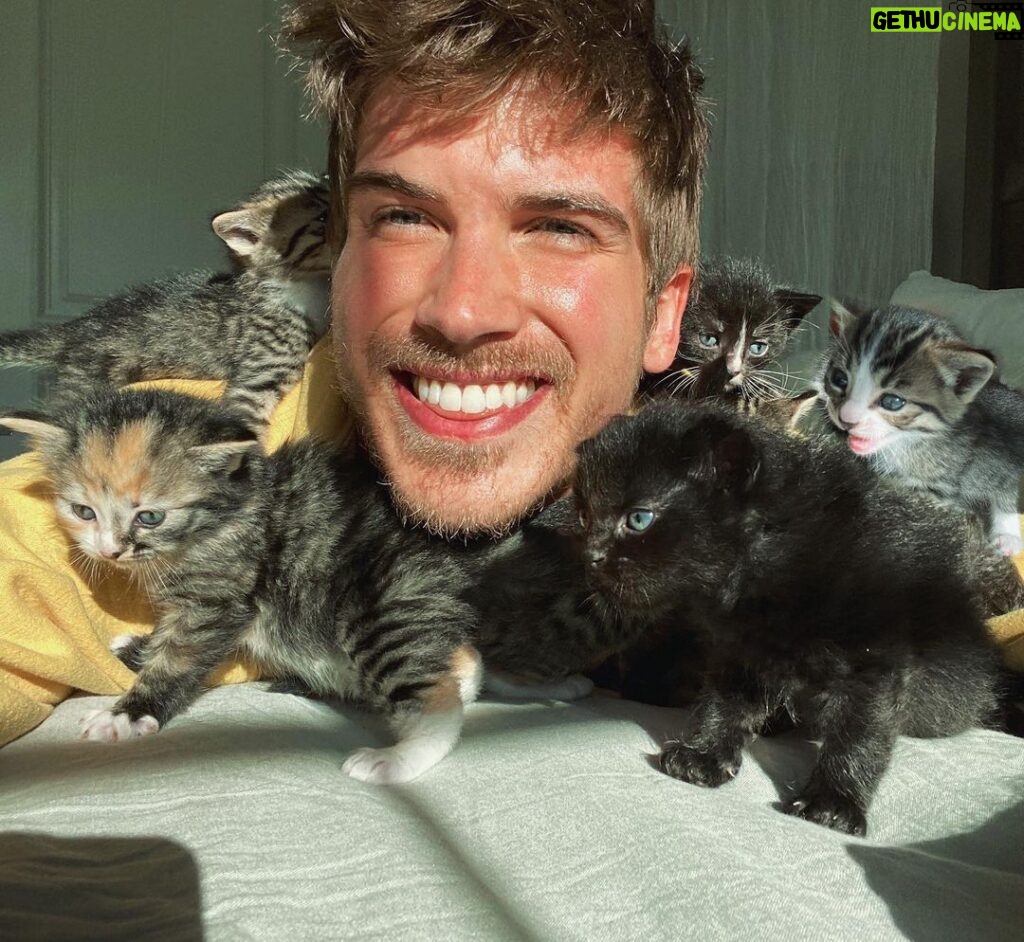 Joey Graceffa Instagram - I think I win for the cutest quarantine buddies 😽 which kitten is your fave?