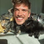 Joey Graceffa Instagram - I think I win for the cutest quarantine buddies 😽 which kitten is your fave?
