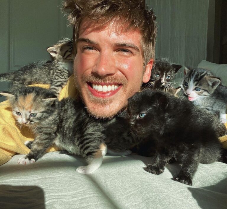 Joey Graceffa Instagram - I think I win for the cutest quarantine buddies 😽 which kitten is your fave?