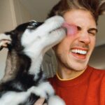 Joey Graceffa Instagram - Reunited with my Pinky girl! 😭 I can’t believe @lunathepaulsonpup remembered me & wouldn’t stop giving me kisses....might have to steal her back! 🥰 link in bio to see the emotional video