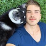 Joey Graceffa Instagram - She’s gonna be the best mommy ever 🐶 @thehuskypac