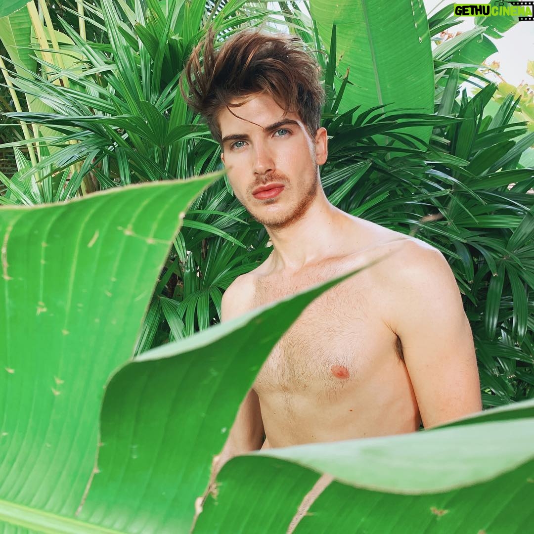 Joey Graceffa Instagram - double tap if I should post the one without the leaf next 🍃👀🌋🌺