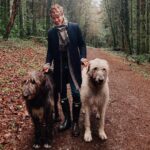 Joey Graceffa Instagram - yeah I’m into BDSM Big Dogs Snuggling Me Ireland (country)