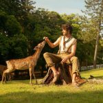 Joey Graceffa Instagram – fostering a pregnant deer once this hits 100k likes 🤭 Nara