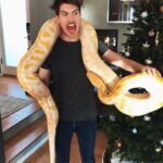 Joey Graceffa Instagram - When I asked for something big under the tree this is NOT what I expected. Christmas is cancelled bye 🐍 tag someone who hates snakes! Also im never collabing with @alexwassabi again... NEW VIDEO UP!