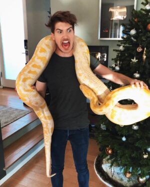 Joey Graceffa Instagram - When I asked for something big under the tree this is NOT what I expected. Christmas is cancelled bye 🐍 tag someone who hates snakes! Also im never collabing with @alexwassabi again... NEW VIDEO UP!