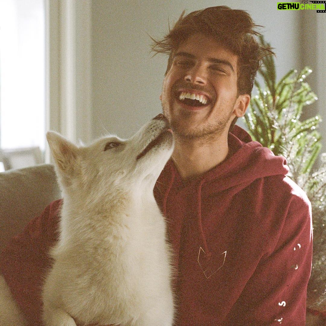 Joey Graceffa Instagram - ITS ALMOST CHRISTMAS! 🎄🎁❄️ & @crystalwolf hoodies are BACK! Now in seasonal colors ruby, emerald and onyx. These are limited time so make sure to grab one in time for the holidays! 🎁 Link in bio to shop #crystalwolf 📸 @kristineilson