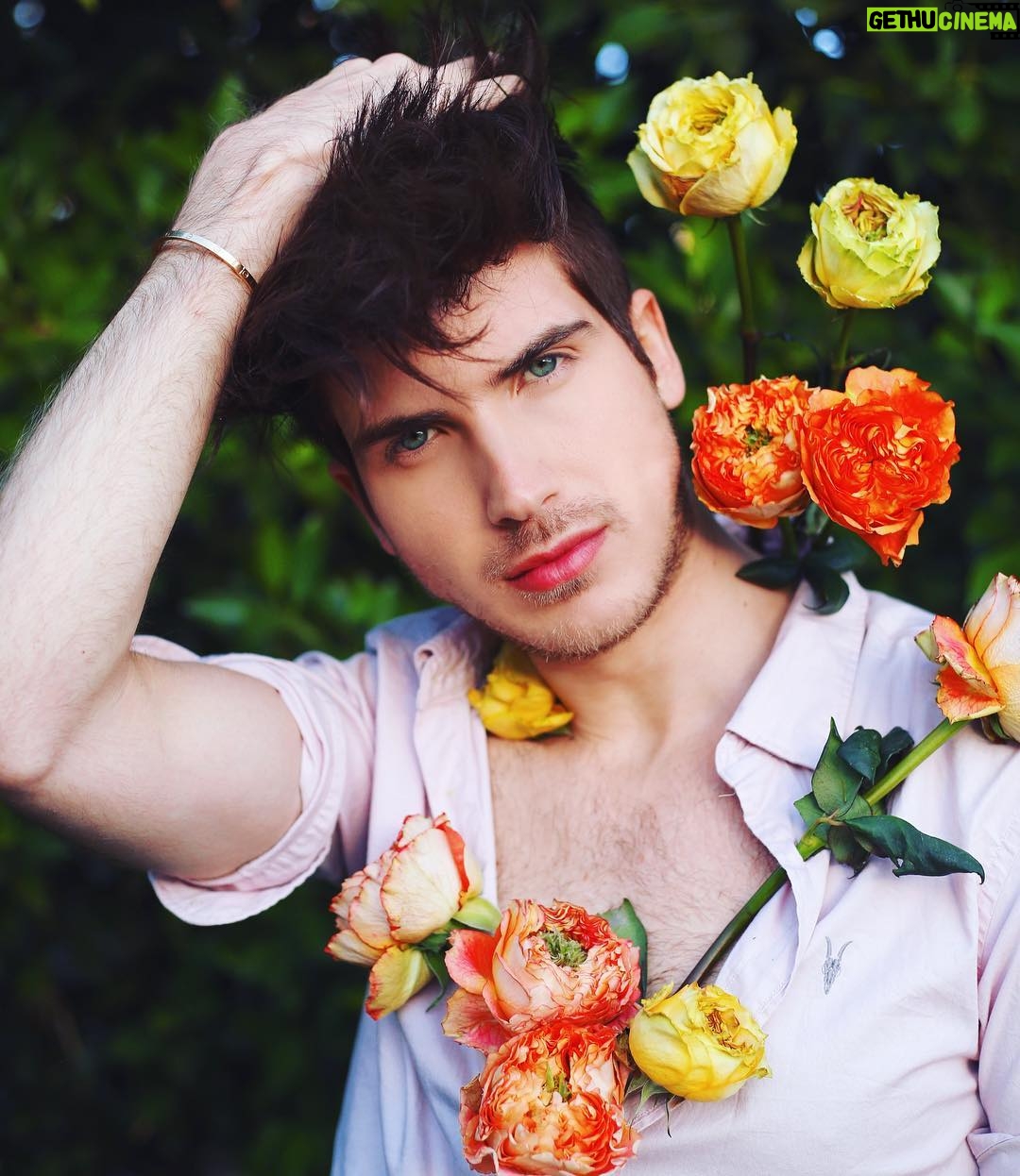 Joey Graceffa Instagram - No one tell @misterpreda I ruined his rose garden for this 👀🌹 Also thoughts on my new hair color by @guy_tang ?! 📸 @hkcameraface