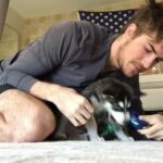 Joey Graceffa Instagram - HAPPY BIRTHDAY WOLFIE! How is he already 4 years old! I got so lucky with the most kind and loving dog! I can’t believe four years ago @misterpreda found you in downtown LA and now you’re our favorite boy! love him so much! ❤️🐺😭 @thehuskypac