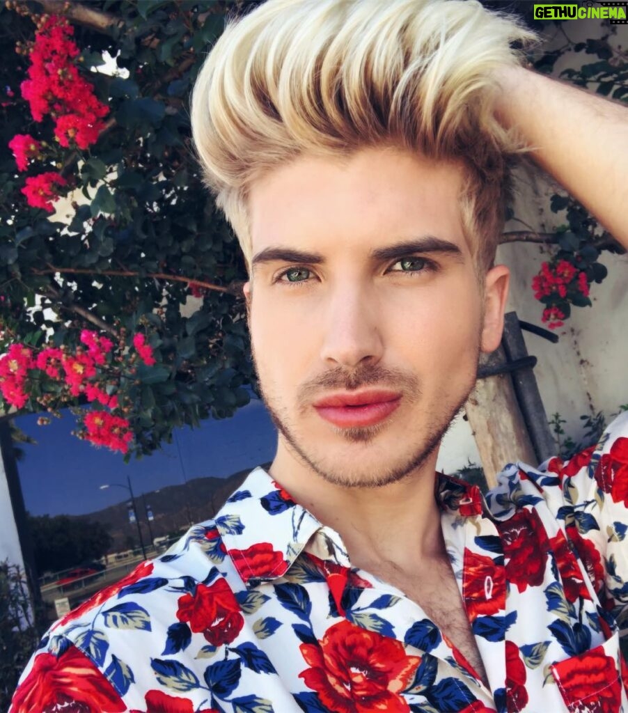 Joey Graceffa Instagram - I dare you to only comment flower emojis! 🌺🥀🌹Thanks @_brizabot for making me blonde 👨🏼