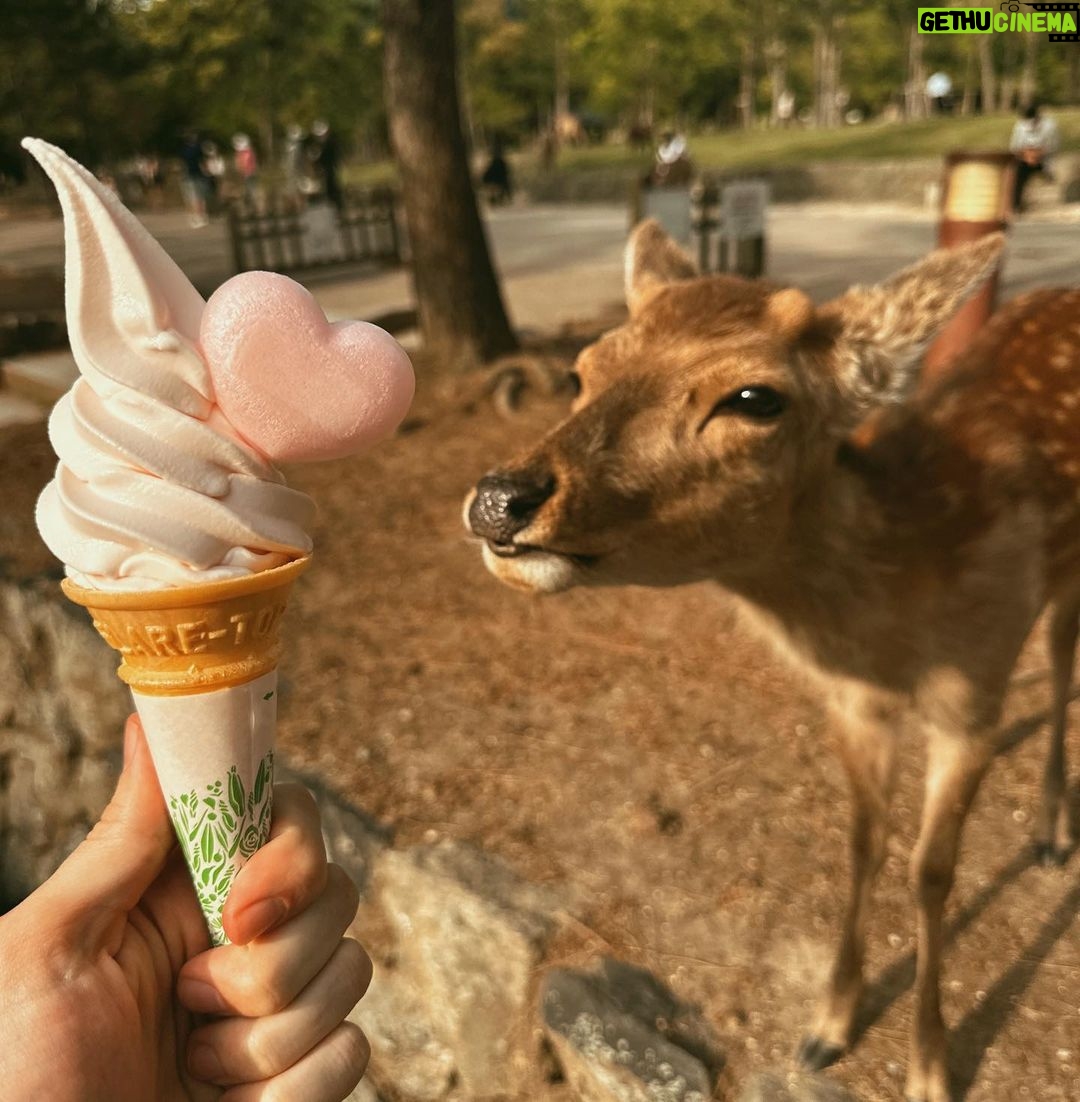 Joey Graceffa Instagram - fostering a pregnant deer once this hits 100k likes 🤭 Nara