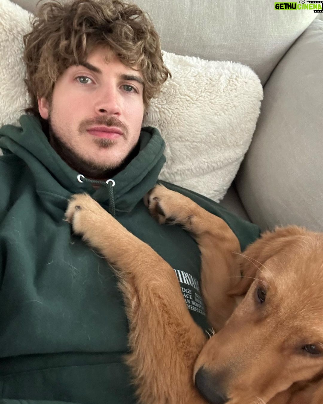 Joey Graceffa Instagram - it was fun coachella but i missed my dogs too much Coachella Music Festival