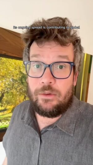 John Green Instagram - Not a rhetorical question.