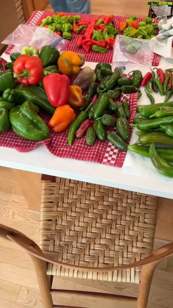 John Green Instagram - Hot sauce day with my mom!! All these peppers are from our garden.🌶