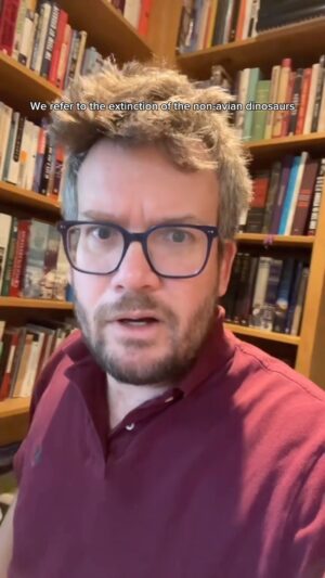 John Green Instagram - Birds are dubious.