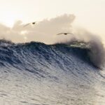 John John Florence Instagram – It’s been rewarding to work alongside @m_experiment from the beginning stages. The Jannards have been a source of creative inspiration for me for a long time. They’ve built legacy brands from Oakley to RED and they’ve always done it in their own style. Same goals with M. We talked about the possibility of this for a while, and I’m happy to see it come together. Relentless pursuit of fun!