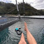 John John Florence Instagram - Love that I’m able to work with partners that share the same passion for health and wellness, plus support all the hobbies and things I do. I regularly use red light therapy, having it built into the new Theragun is next level. I also find myself using the heat often. It does everything I need and helps out so much with recovery on trips like this. We’ve been surfing, sailing, and hiking pretty much everyday. Thank you @therabody