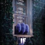 John Krasinski Instagram - What if everything you believed as a kid… was real?! I am so very excited to share IF with you all! Far and away one of the most magical experiences I’ve ever had! It stars the insanely talented @vancityreynolds , @caileypresleyfleming , Phoebe Waller-Bridge, @iamlouisgossettjr , Steve Carell and more! Look for the trailer tomorrow! Only in theatres May 2024 #ImaginaryFriends