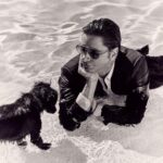 John Stamos Instagram - Thank you for having “This Guy” (me) featured in @INSTYLEMAGAZINE Special THANK YOU - to Photographer: @alexgharper Love these pics and Billy is going to be thrilled that his doggy, Brickis made the spread. Check out my Komi in bio for full story.