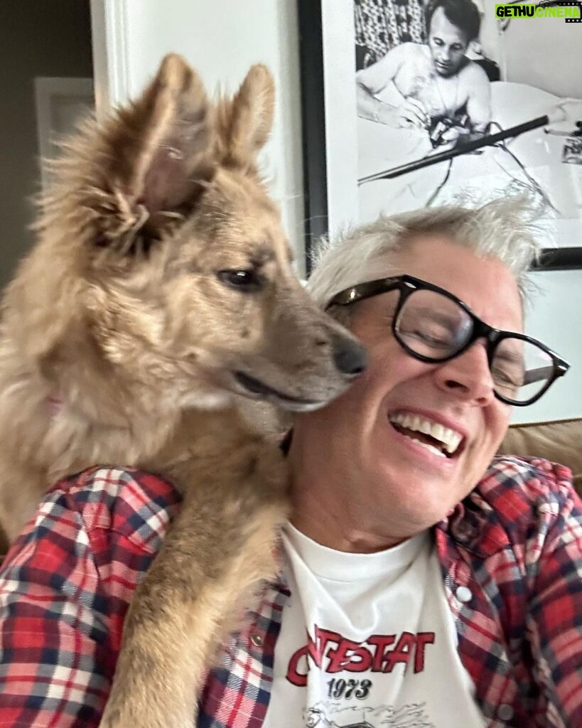 Johnny Knoxville Instagram - Bucket is out of control. Her new thing is to sit on the back of the couch like a cat and completely maul us with kisses. How did we end up with such a nut for a dog?