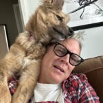 Johnny Knoxville Instagram - Bucket is out of control. Her new thing is to sit on the back of the couch like a cat and completely maul us with kisses. How did we end up with such a nut for a dog?