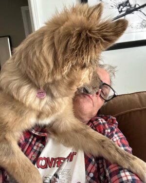 Johnny Knoxville Instagram - Bucket is out of control. Her new thing is to sit on the back of the couch like a cat and completely maul us with kisses. How did we end up with such a nut for a dog?